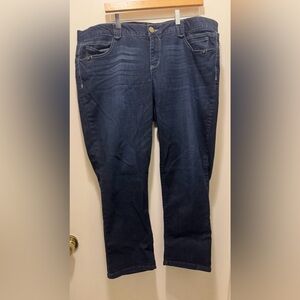 Democracy “Ab”solution Women’s Dark Blue Stretch Jeans